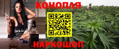 сатива Камышлов
