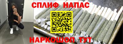 сатива Камышлов