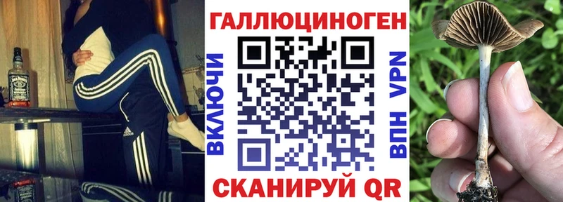 ссылка на мегу tor сайты даркнета как зайти Галлюциногенные грибы мухоморы купить наркоту Куйбышев