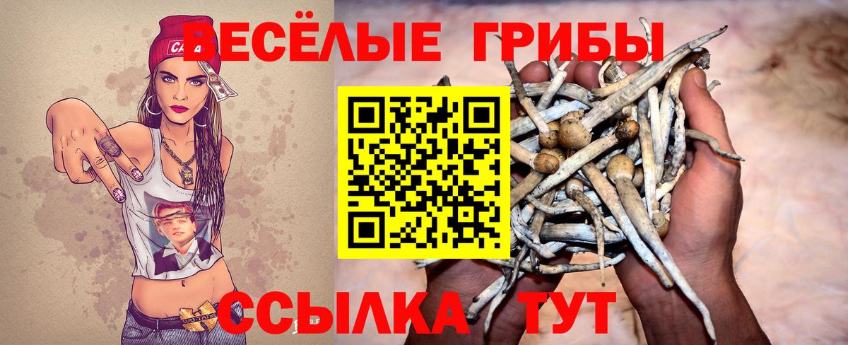 Псилоцибиновые грибы мухоморы  Вход с VPN  Куйбышев 